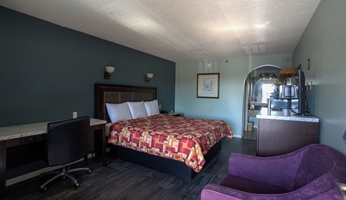 Single Room, 1 King Bed