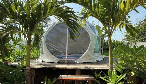 Basic Tent, Patio, Garden View