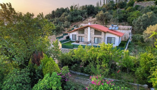 Luxury Villa, Pool View