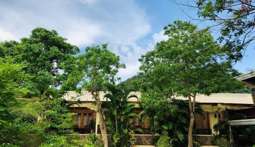 Deluxe Twin Room, Balcony, Garden View