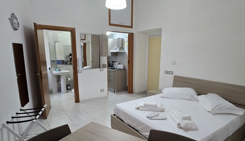 Classic Apartment, 1 King Bed, Non Smoking, Private Bathroom