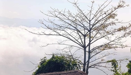 Deluxe Room, Balcony, Hill View