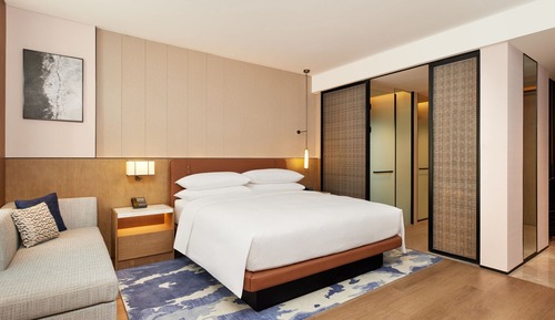 Room, 1 King Bed