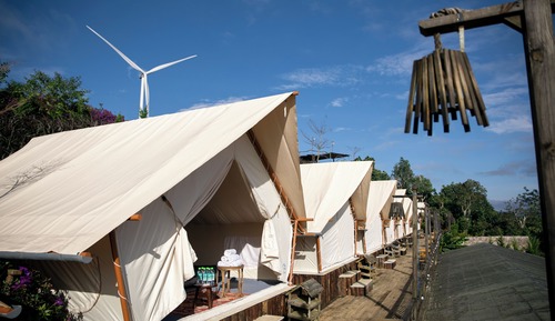 Basic Tent