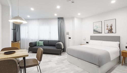 Studio with Sofa Bed Wheelchair Access