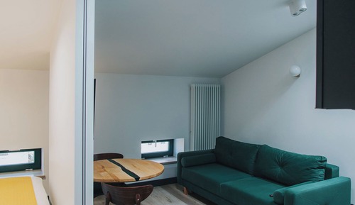 Studio, 1 King Bed with Sofa bed