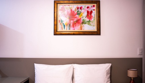Basic Studio Suite
