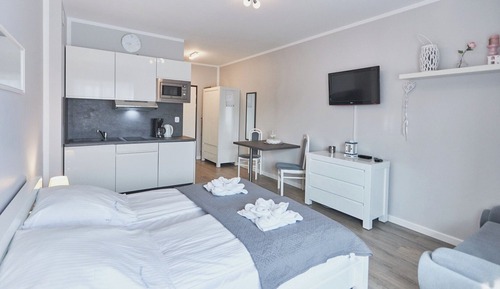 Standard Studio Suite, 1 Queen Bed with Sofa bed