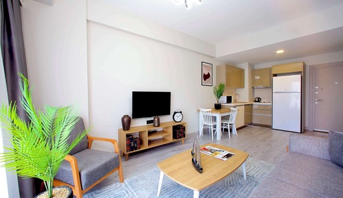 Standard Apartment, 1 King Bed, Non Smoking, Kitchenette (with Sofabed)