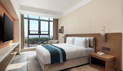 Deluxe Room, 1 King Bed, Non Smoking