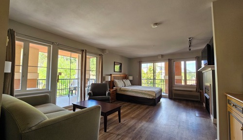 Panoramic Studio