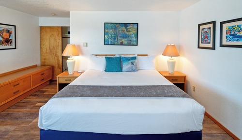 Room, 1 Queen Bed (No Pets)