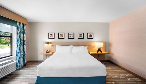 Room, 1 King Bed, Mountain View
