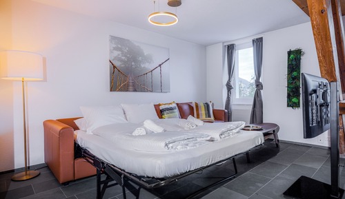 Deluxe Condo, Mountain View
