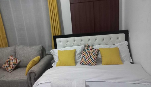 Business Studio Suite