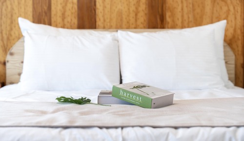 Basic Room, 1 Bedroom (D-201)