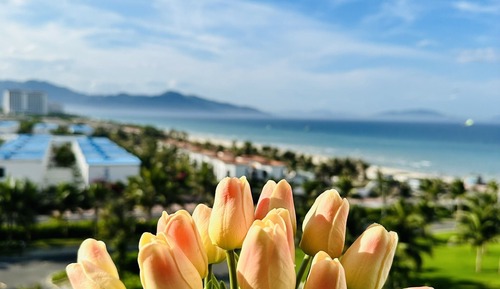 Premier Double Room Single Use, Beach View