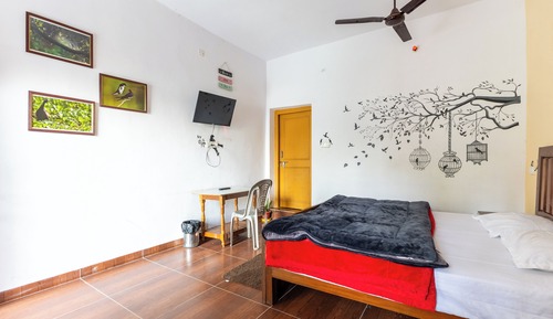 Premium Spacious Room with Terrace