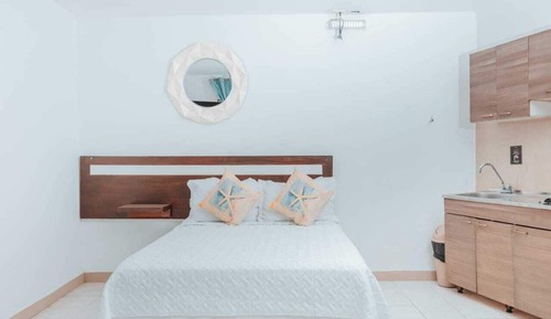 Basic Apartment