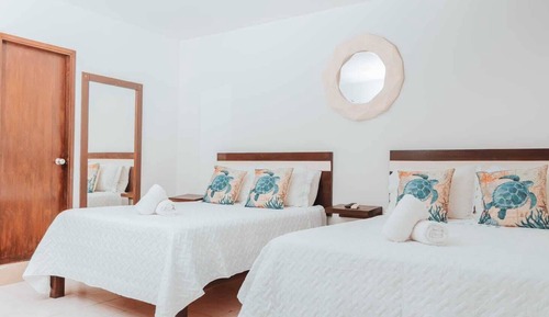 Basic Apartment