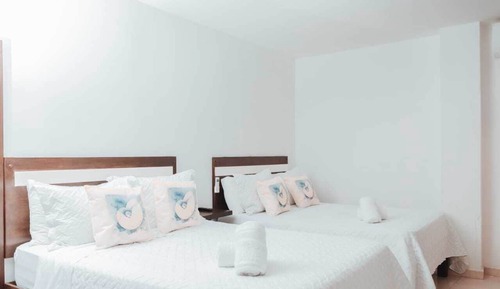 Basic Apartment