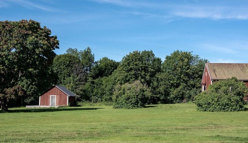 Basic House