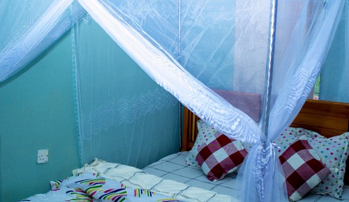 Basic Room