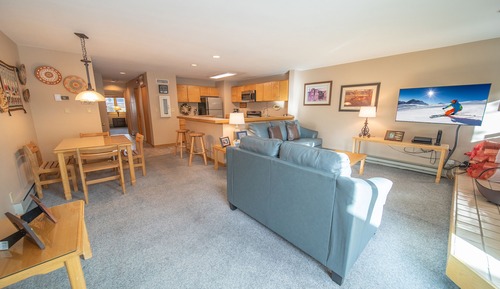 Condo (Liftside 20B)