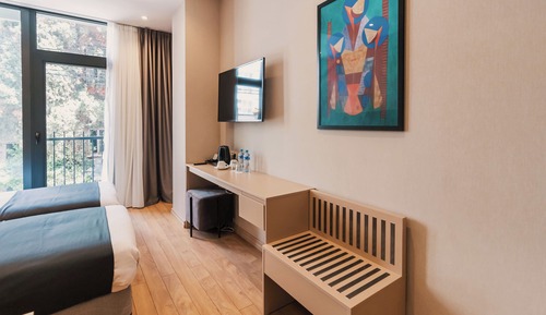 Standard Twin Room