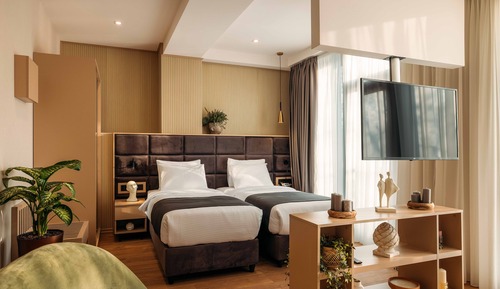 Executive Double or Twin Room