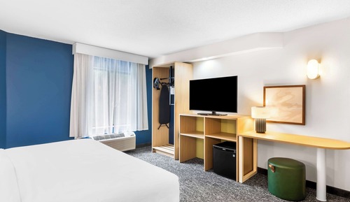 Room, 1 King Bed, Accessible (Mobility & Hearing, Roll-in Shower)