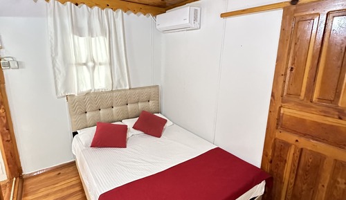 Basic Apartment