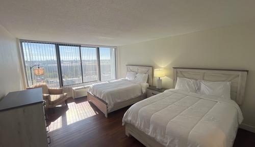 Basic Suite