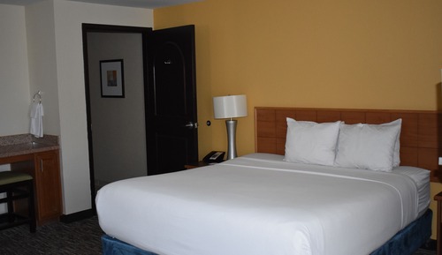 Business Room, 1 King Bed, Non Smoking, Refrigerator & Microwave