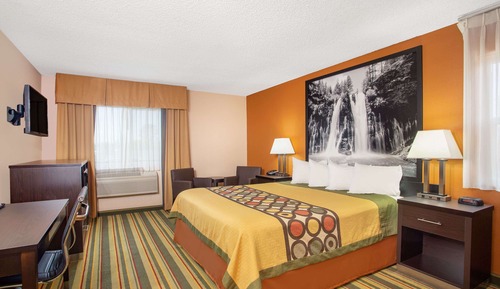 Room, 1 King Bed