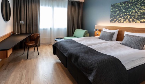 Room, 1 Queen Bed