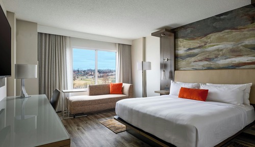 Room, 1 King Bed (Mobility Accessible, Tub)