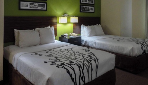 Standard Room, 2 Double Beds, Non Smoking