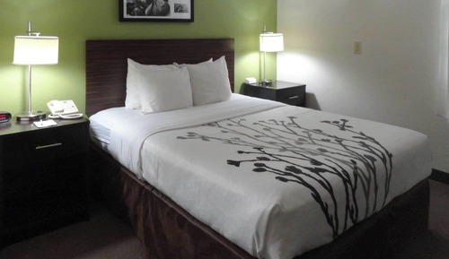 Room, 1 Queen Bed, Accessible, Non Smoking