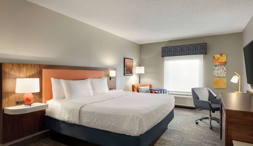 Room, 1 King Bed, Non Smoking