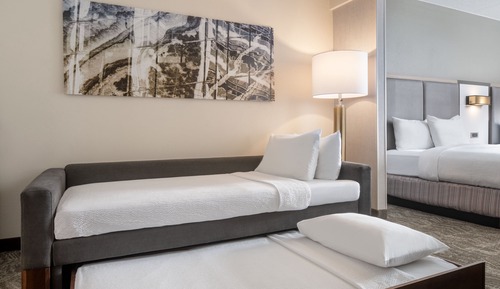 Studio, 1 King Bed with Sofa bed (Hearing Accessible)