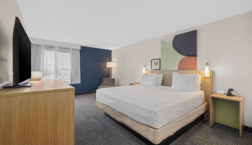 Room, 1 King Bed