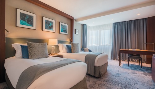 Premium Room, Multiple Beds