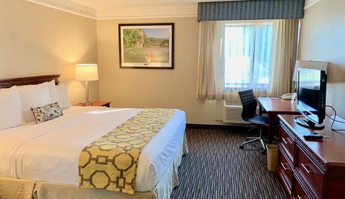 Suite, 1 King Bed, Non Smoking (One-Bedroom Suite)