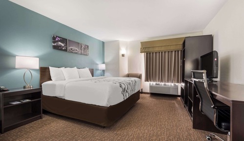 Room, 1 King Bed, Accessible, Non Smoking