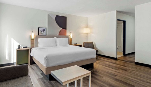 Room, 1 King Bed with Sofa bed