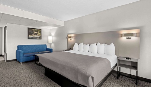 Room, 1 King Bed with Sofa bed, Non Smoking