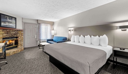 Room, 1 King Bed, Non Smoking