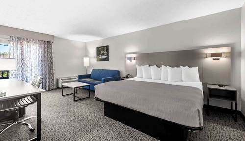 Room, 1 King Bed, Non Smoking