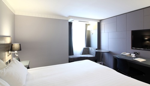 Room, 1 King Bed